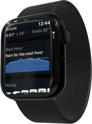 GraySky on Apple Watch showing the next-hour rain forecast